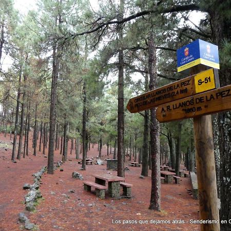 Canarias. Islas Afortunadas Las Palmas / Gran Canaria Exterior foto